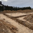 blog: Dom w dracenach 2 zdjęcie #48734