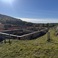 forum Dom w georginiach 2 (G2E) OZE obrazek 102139