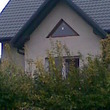 Dom w mandarynkach 19908