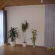 Dom w rododendronach 5 (W) 58122